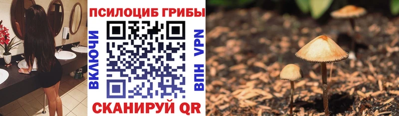 магазин продажи наркотиков  Фрязино  сайты даркнета наркотические препараты  Псилоцибиновые грибы прущие грибы 